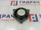 Динамик Renault Fluence