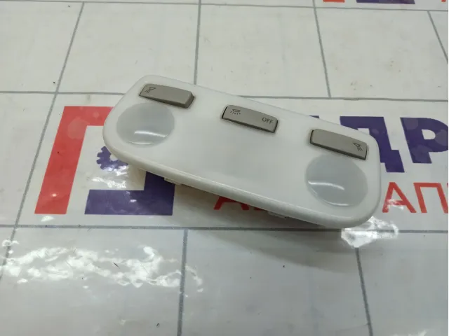 Плафон салонный Renault Fluence 264300008R