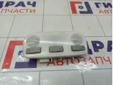 Плафон салонный Renault Fluence 264300008R
