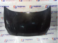 Капот Renault Fluence 651002244R