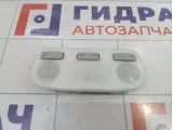 Плафон салонный Renault Fluence 264300008R