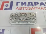 Плафон салонный Renault Fluence 264300008R