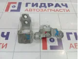Петли двери передней левой Renault Fluence