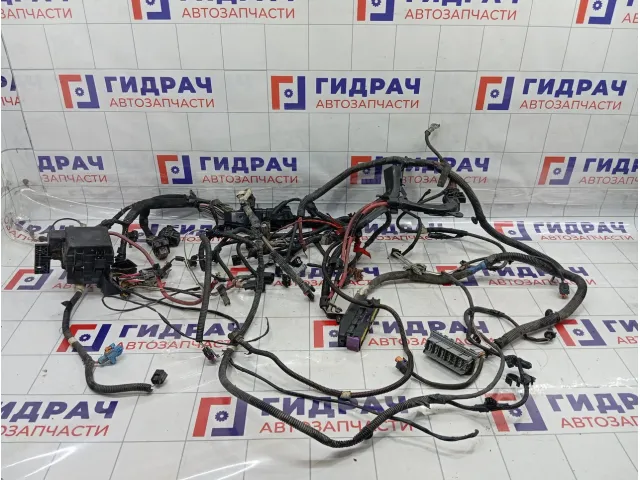 Проводка двигателя Renault Fluence 240119821R