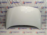 Капот Renault Fluence 651002244R