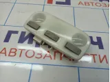 Плафон салонный Renault Fluence 264300008R
