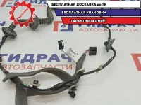 Проводка двери задней правой Renault Fluence 241261311R.