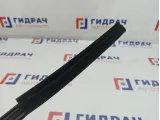 Уплотнитель стекла двери заднего левого Renault Fluence 823310029R. Внутренний.