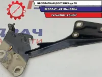 Петля капота левая Renault Fluence 654010016R.