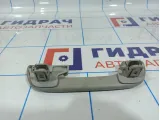 Ручка внутренняя потолочная Renault Fluence 739400011R.