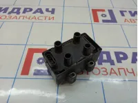 Катушка зажигания Renault Kangoo (KC) 224336134R