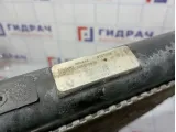 Радиатор основной Renault Kangoo (KC) 8200343476
