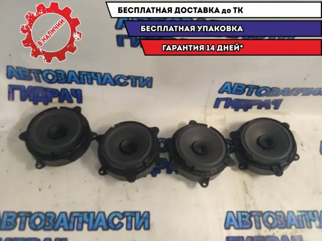 Динамик в дверь шт Renault Kaptur