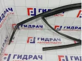 Уплотнитель стекла переднего левого Renault Kaptur 803317044R