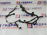 Проводка двери передней правой Renault Kaptur 241255024R