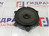 Динамик Renault Kaptur