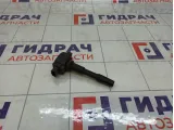 Катушка зажигания Renault Kaptur 224332428R