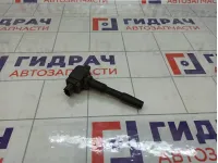 Катушка зажигания Renault Kaptur 224332428R