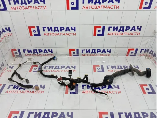 Проводка двери передней левой Renault Kaptur 241244250R