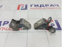 Петли двери передней левой Renault Kaptur