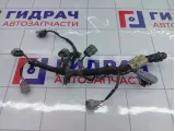 Проводка двигателя Renault Kaptur 242593767R