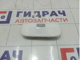 Плафон салонный Renault Kaptur 264300007R