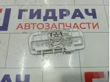 Плафон салонный Renault Kaptur 264300007R