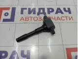 Катушка зажигания Renault Kaptur 224332428R