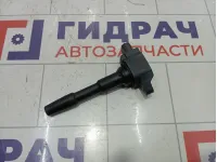 Катушка зажигания Renault Kaptur 224332428R