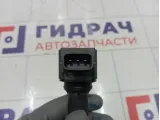Катушка зажигания Renault Kaptur 224332428R