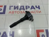 Катушка зажигания Renault Kaptur 224332428R