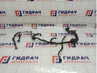 Проводка двери передней правой Renault Kaptur 241255024R