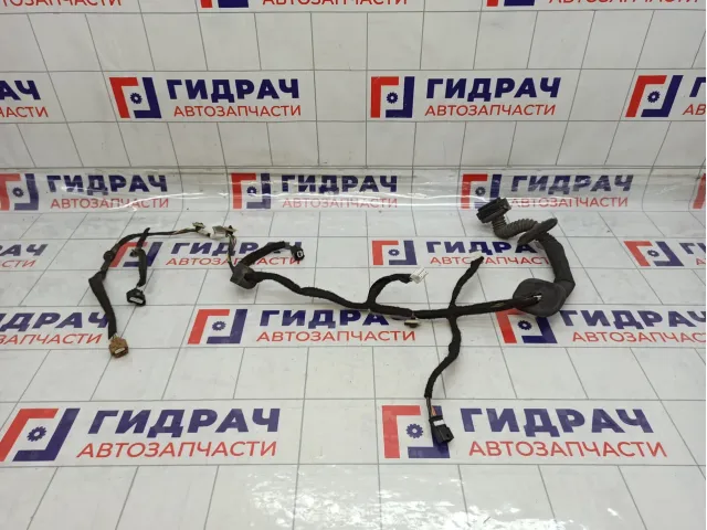 Проводка двери передней правой Renault Kaptur 241255024R