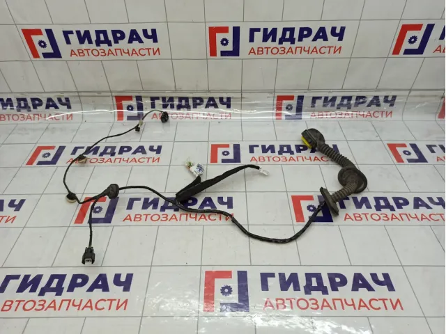 Проводка двери задней правой Renault Kaptur 241274968R