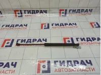 Амортизатор крышки (двери) багажника Renault Kaptur 904514771R