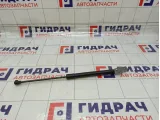 Амортизатор крышки (двери) багажника Renault Kaptur 904514771R