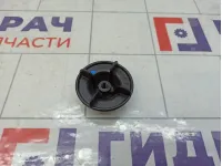 Крепление (болт) запасного колеса Renault Kaptur 849800001R