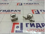 Петли двери задней правой Renault Kaptur