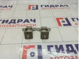 Петли двери багажника Renault Kaptur