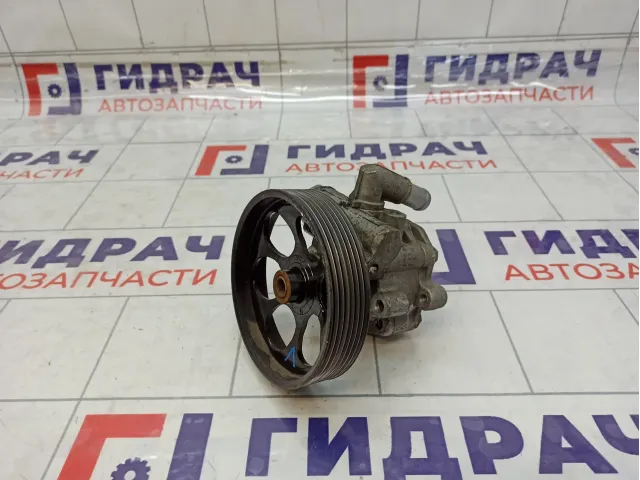 Насос гидроусилителя Renault Kaptur 491101428R