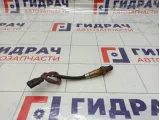 Датчик кислородный/Lambdasonde Renault Kaptur 258010062