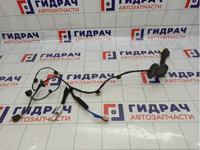 Проводка двери задней правой Renault Kaptur 241274968R