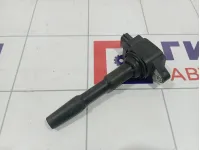 Катушка зажигания Renault Kaptur 224332428R