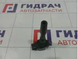 Катушка зажигания Renault Kaptur 224332428R