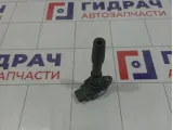 Катушка зажигания Renault Kaptur 224332428R