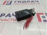 Блок предохранителей Renault Kaptur 243510925R