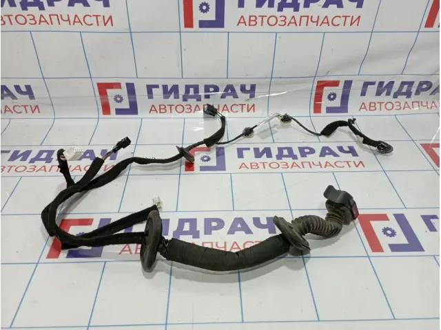 Проводка двери передней правой Renault Kaptur 241251745R