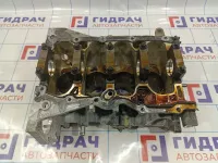 Блок двигателя Renault Kaptur