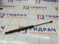 Амортизатор двери багажника Renault Kaptur 904518867R