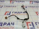 Проводка фонарей подсветки номера Renault Kaptur 240505235R
